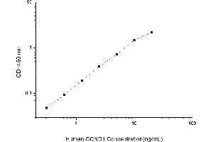 Typical standard curve (Cyclin D1 ELISA Kit)