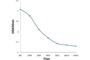 ELISA image for anti-Immunoglobulin Superfamily, Member 9 (IGSF9) antibody (ABIN1387752)