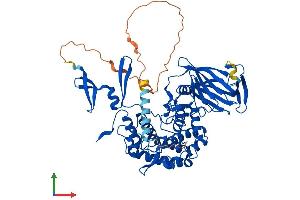AlphaFold protein structure predicition of Human Recombinant GLCE Protein, UniprotID O94923 (GLCE Protein (AA 1-617) (His tag))