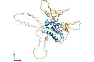 AlphaFold protein structure predicition of Mouse Recombinant Nr0b1 Protein, UniprotID Q61066