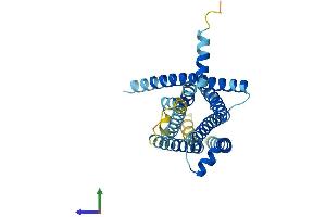 AlphaFold protein structure predicition of Mouse Recombinant Tas2r109 Protein, UniprotID Q7M707 (TAS2R109 Protein (AA 1-316) (His tag))