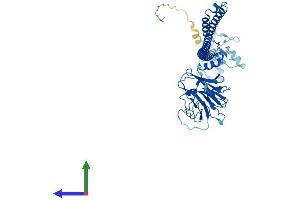 Protein Structure (PS) image for Tripartite Motif Containing 69 (TRIM69) (AA 1-500) protein (His tag) (ABIN7558405)