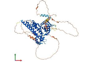 AlphaFold protein structure predicition of Human Recombinant ARHGEF25 Protein, UniprotID Q86VW2