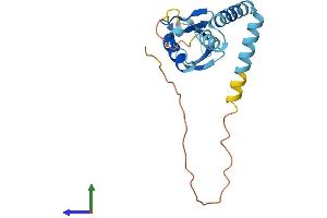 Protein Structure (PS) image for Ubiquitin-Like 4B (UBL4B) (AA 1-188) protein (His tag) (ABIN7560517)