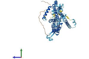 AlphaFold protein structure predicition of Mouse Recombinant Cds1 Protein, UniprotID P98191 (CDS1 Protein (AA 1-461) (His tag))