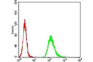 Flow Cytometry (FACS) image for anti-Neurofilament Triplet M Protein (NEFM) (AA 779-916) antibody (ABIN5872897) (NEFM antibody  (AA 779-916))