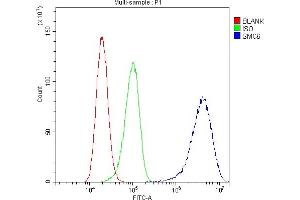 Flow Cytometry analysis of A431 cells using anti-SMC6L1 antibody (ABIN5693133). (SMC6 antibody  (AA 205-443))