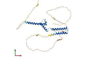AlphaFold protein structure predicition of Mouse Recombinant Hey2 Protein, UniprotID Q9QUS4 (HEY2 Protein (AA 1-339) (His tag))