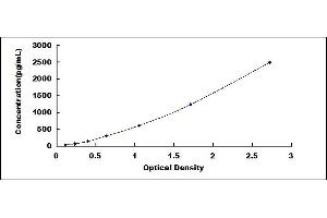 Typical standard curve (Selectin E/CD62e ELISA Kit)