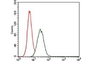 Flow Cytometry (FACS) image for anti-RAP1A, Member of RAS Oncogene Family (RAP1A) antibody (ABIN1108828) (RAP1A antibody)