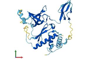 AlphaFold protein structure predicition of Mouse Recombinant Exosc2 Protein, UniprotID Q8VBV3