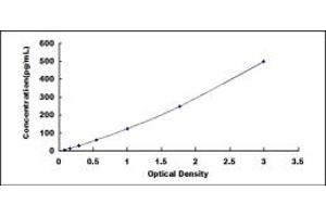 Typical standard curve (IL12B ELISA Kit)