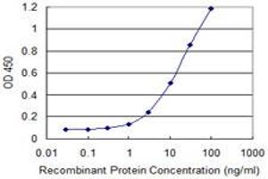 Detection limit for recombinant GST tagged HCP5 is 0. (HCP5 antibody  (AA 3-103))