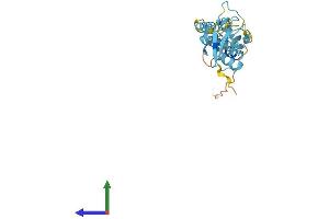 AlphaFold protein structure predicition of Human Recombinant UBTD1 Protein, UniprotID Q9HAC8 (UBTD1 Protein (AA 1-227) (His tag))