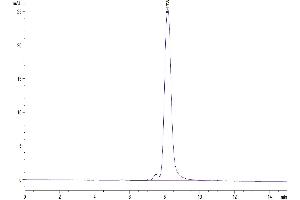 The purity of Cynomolgus PSMA is greater than 95 % as determined by SEC-HPLC (PSMA Protein (AA 44-750) (His tag))