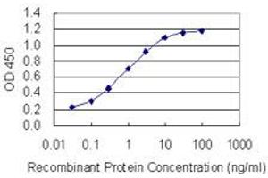 Detection limit for recombinant GST tagged CAGE1 is 0. (CAGE1 antibody  (AA 2-100))