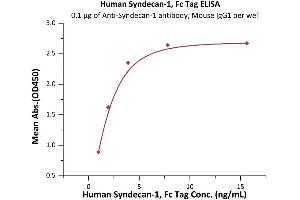 Immobilized Acan-1 antibody, Mouse IgG1 at 1 μg/mL (100 μL/well) can bind Human Syndecan-1, Fc Tag (ABIN6973273) with a linear range of 1-2 ng/mL (Routinely tested).