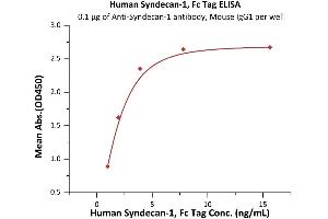 Immobilized Acan-1 antibody, Mouse IgG1 at 1 μg/mL (100 μL/well) can bind Human Syndecan-1, Fc Tag (ABIN6973273) with a linear range of 1-2 ng/mL (Routinely tested). (Syndecan 1 Protein (SDC1) (AA 23-254) (Fc Tag))