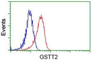 HEK293T cells transfected with either RC200040 overexpress plasmid (Red) or empty vector control plasmid (Blue) were immunostained by anti-GSTT2 antibody (ABIN2453097), and then analyzed by flow cytometry. (GSTT2 antibody)