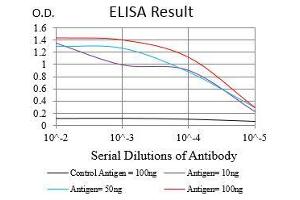 Fig. (SYCP3 antibody  (AA 27-128))