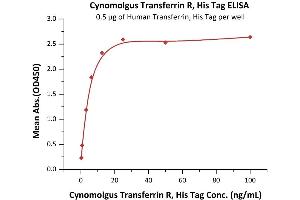 Immobilized Human Transferrin, His Tag (ABIN2181871,ABIN2181870) at 5 μg/mL (100 μL/well) can bind Cynomolgus Transferrin R, His Tag (ABIN5954945,ABIN6253573) with a linear range of 0. (Transferrin Receptor Protein (AA 89-760) (His tag))