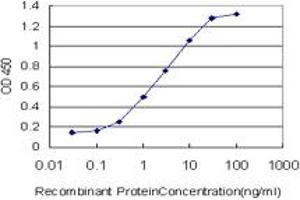 Detection limit for recombinant GST tagged PPARBP is approximately 0. (MED1 antibody  (AA 1391-1490))