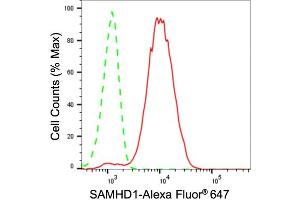 Flow cytometric analysis of SAMHD1 expression in HeLa cells using SAMHD1 antibody (ABIN7800270), 1:2,000).