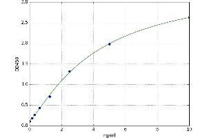A typical standard curve (FUT7 ELISA Kit)