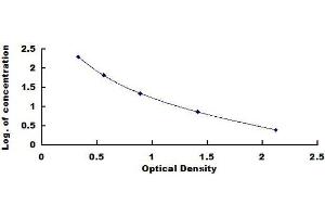 ELISA image for Follistatin (FST) ELISA Kit (ABIN1569901)