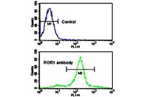 Flow cytometric analysis of NCI-H460 cells using ROR1 polyclonal antibody (bottom histogram) compared to a negative control cell (top histogram). (ROR1 antibody  (AA 112-399))