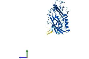 AlphaFold protein structure predicition of Mouse Recombinant Atp4b Protein, UniprotID P50992 (ATP4b Protein (AA 1-294) (His tag))
