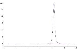 The purity of Biotinylated Mouse CDCP1 is greater than 95 % as determined by SEC-HPLC. (CDCP1 Protein (AA 25-667) (His-Avi Tag,Biotin))
