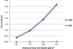 ELISA plate was coated with purified rabbit IgM and IgG. (Goat anti-Rabbit IgM (Heavy Chain) Antibody (Alkaline Phosphatase (AP)))