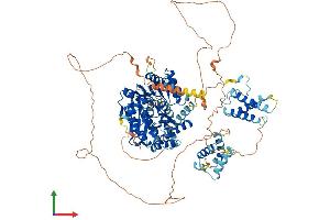 Protein Structure (PS) image for RecQ Protein-Like 5 (RECQL5) (AA 1-982) protein (His tag) (ABIN7564772)