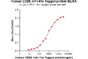 ELISA image for CD28 (CD28) (AA 19-152) protein (mFc-His Tag) (ABIN6961087)