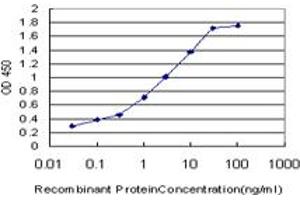 Detection limit for recombinant GST tagged TCEB2 is approximately 0. (TCEB2 antibody  (AA 9-118))