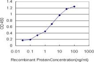 Detection limit for recombinant GST tagged MVD is approximately 0. (MVD antibody  (AA 301-398))