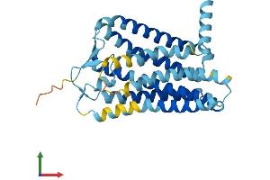 AlphaFold protein structure predicition of Human Recombinant OR9Q1 Protein, UniprotID Q8NGQ5 (OR9Q1 Protein (AA 1-310) (His tag))