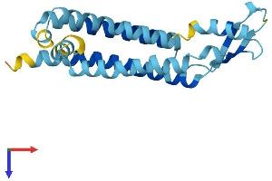 AlphaFold protein structure predicition of Human Recombinant GJE1 Protein, UniprotID A6NN92