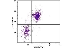 BALB/c mouse splenocytes were stained with Rat Anti-Mouse CD16/32-APC. (CD32/CD16 antibody  (APC))