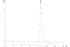 The purity of Human IL-3 is greater than 95 % as determined by SEC-HPLC.