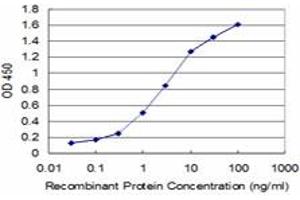 Detection limit for recombinant GST tagged HEY1 is approximately 0. (HEY1 antibody  (AA 121-220))