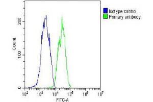 Overlay histogram showing HepG2 cells stained with (ABIN652479 and ABIN2842326) (green line). (IFNB1 antibody  (N-Term))