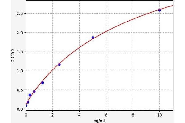 CAMK2N2 ELISA Kit