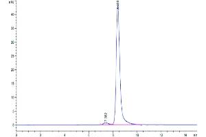 The purity of Cynomolgus GPVI is greater than 95 % as determined by SEC-HPLC. (GP6 Protein (AA 21-251) (His tag))