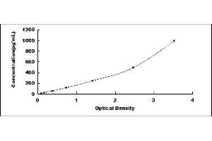 Typical standard curve