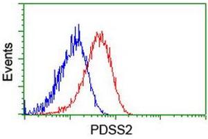 Flow cytometric Analysis of Hela cells, using anti-PDSS2 antibody (ABIN2455300), (Red), compared to a nonspecific negative control antibody, (Blue). (PDSS2 antibody)