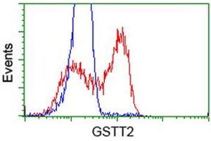 HEK293T cells transfected with either RC200040 overexpress plasmid (Red) or empty vector control plasmid (Blue) were immunostained by anti-GSTT2 antibody (ABIN2453097), and then analyzed by flow cytometry. (GSTT2 antibody)