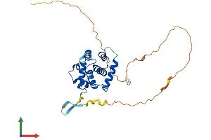 AlphaFold protein structure predicition of Mouse Recombinant Spdye4a Protein, UniprotID Q5IBH6 (Speedy Homolog B (Xenopus Laevis) (SPDYB) (AA 1-268) protein (His tag))