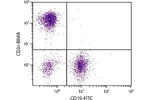 BALB/c mouse splenocytes were stained with Hamster Anti-Mouse CD3ε-BIMA. (CD3 epsilon antibody  (APC))